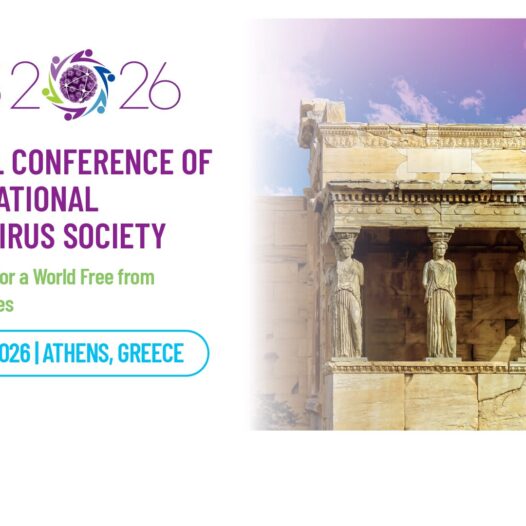 Applications are open for IPVS 2026 travel scholarships