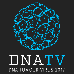 IPVS is supporting DNA Tumor Virus meeting  17-22 July 2017, Birmingham, UK