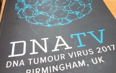 IPVS offers Sponsorship Prize and Best Oral Presentation Prize at DNA Tumor Virus Meeting, in Birmingham, UK