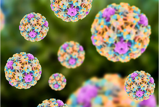 IPVS webinar: Testing positive for HPV in cervical screening